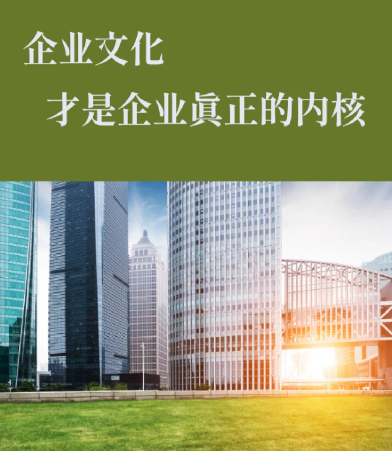中小企业互联网平台运营服务全流程解析与选型指南